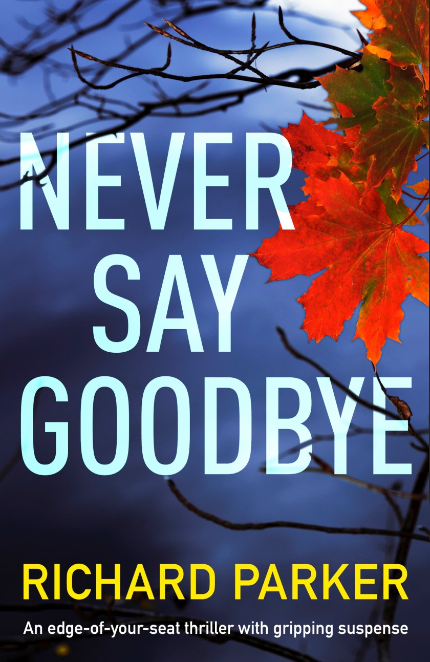 Never-Say-Goodbye-Kindle