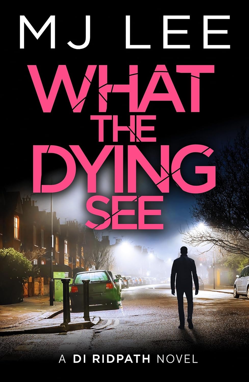 What The Dying See. M.J&nbsp;Lee